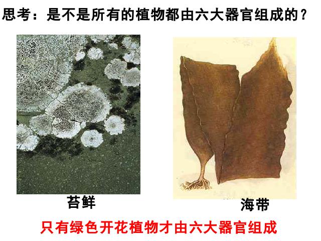 初一上册生物生物2.2.3植物体的结构层次优质课第6页