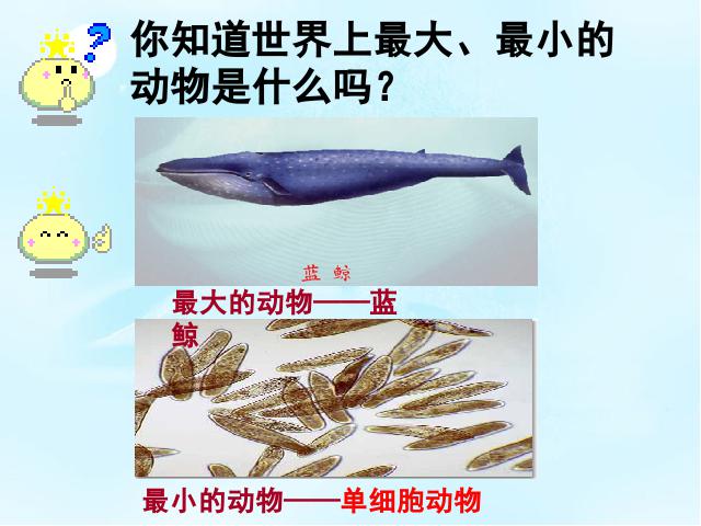 初一上册生物2.2.4单细胞生物生物公开课第1页