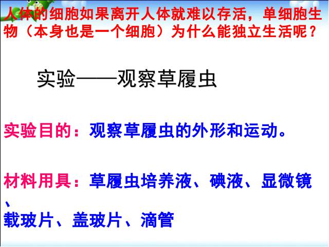 初一上册生物精品课件2.2.4单细胞生物ppt第10页