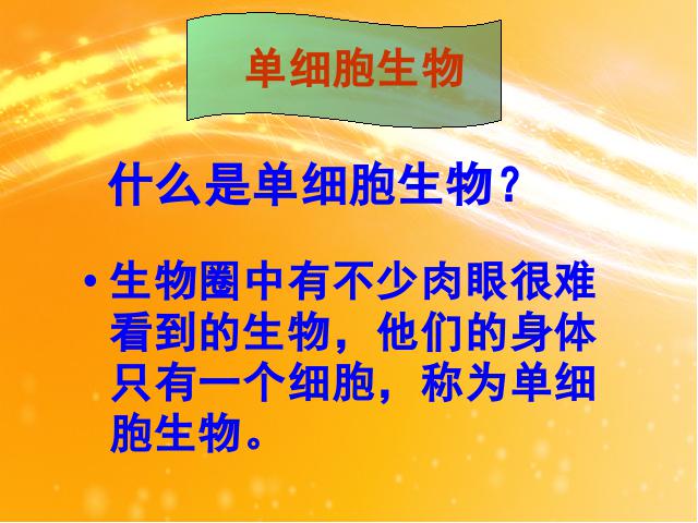 初一上册生物精品课件2.2.4单细胞生物ppt第3页