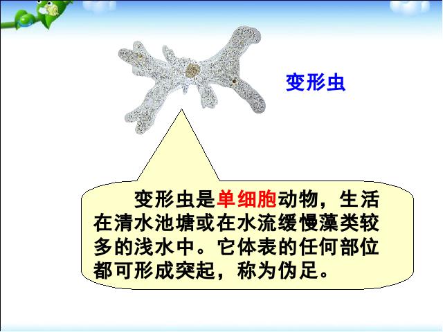 初一上册生物精品课件2.2.4单细胞生物ppt第7页