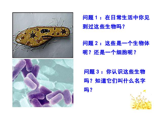 初一上册生物课件2.2.4单细胞生物原创ppt（生物）第5页