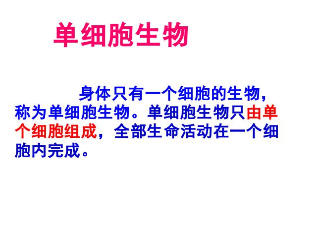 初一上册生物生物2.2.4单细胞生物上课下载第5页