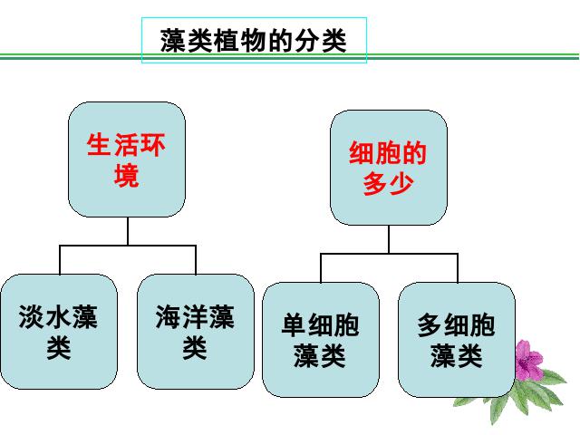 初一上册生物生物3.1.1藻类苔藓和蕨类植物ppt比赛获奖教学课件第5页