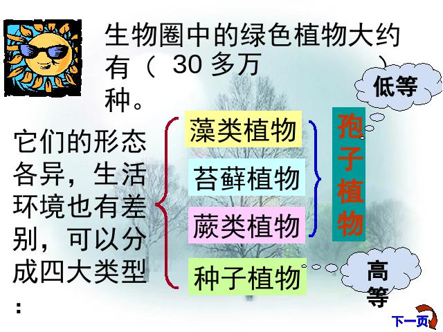 初一上册生物生物3.1.2种子植物精品第2页