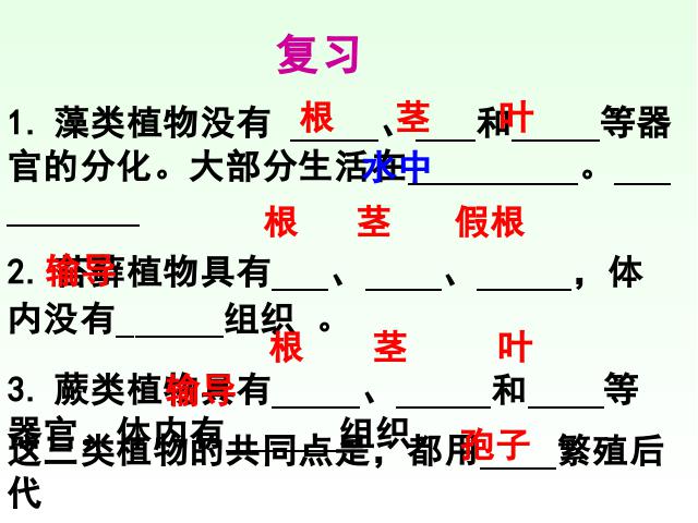 初一上册生物生物3.1.2种子植物上课下载第1页