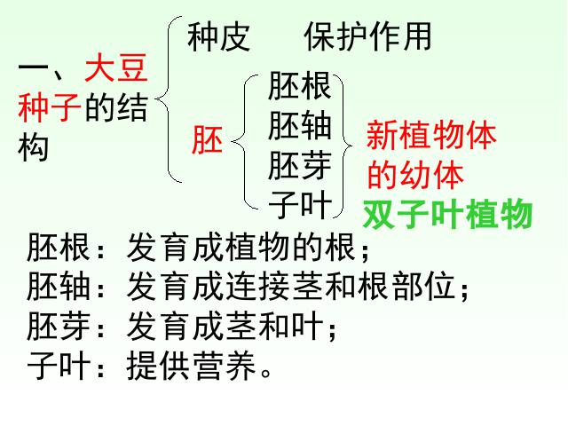 初一上册生物生物3.1.2种子植物上课下载第10页