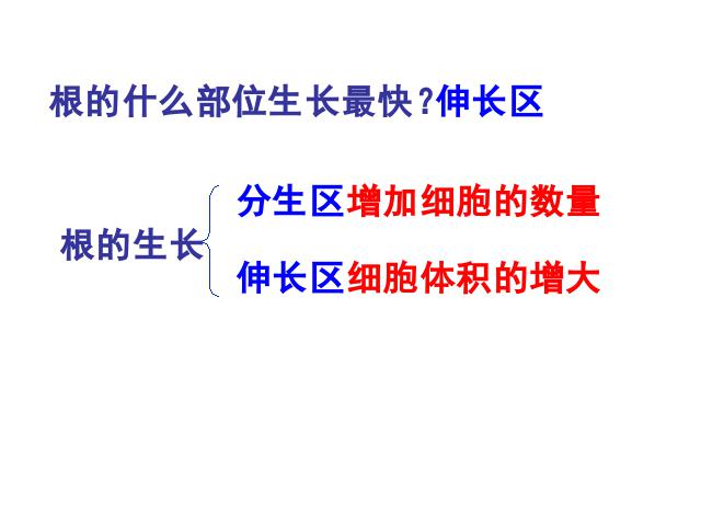 初一上册生物3.2.2植株的生长PPT教学自制课件(生物)第4页