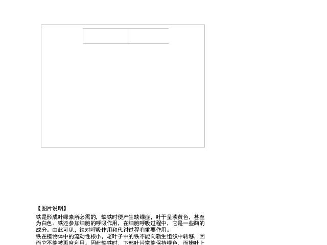 初一上册生物生物3.2.2植株的生长ppt比赛获奖教学课件第4页