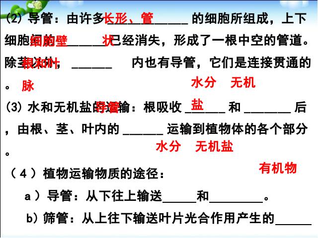 初一上册生物3.3绿色植物与生物圈的水循环PPT教学自制课件(生物)第5页