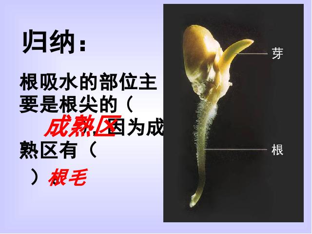 初一上册生物生物3.3绿色植物与生物圈的水循环优秀获奖第2页