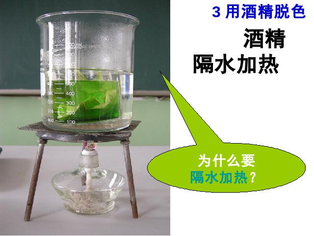 初一上册生物生物绿色植物是生物圈中有机物的制造者上课下载第10页