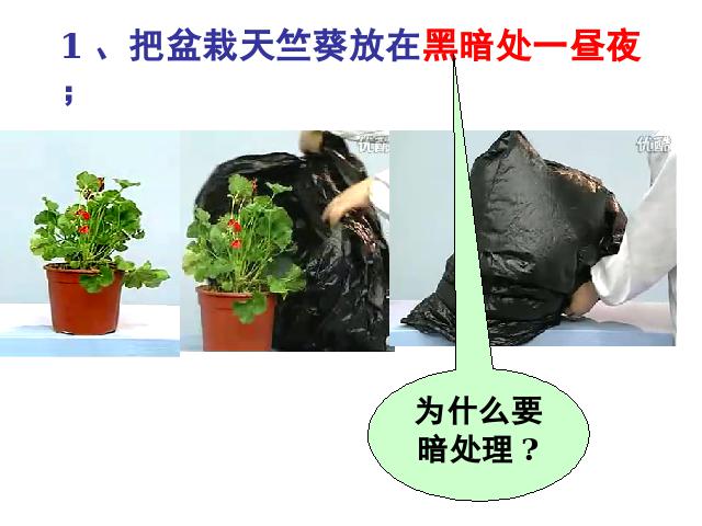 初一上册生物生物绿色植物是生物圈中有机物的制造者上课下载第8页