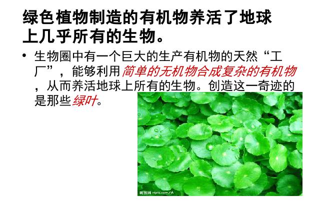 初一上册生物绿色植物是生物圈中有机物的制造者PPT教学自制第2页
