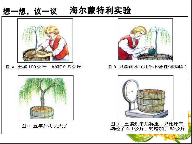 初一上册生物生物光合作用吸收二氧化碳释放氧气上课下载第3页