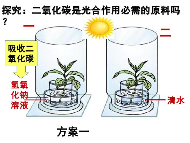 初一上册生物生物光合作用吸收二氧化碳释放氧气上课下载第8页