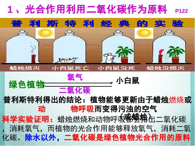 初一上册生物生物光合作用吸收二氧化碳释放氧气精品第7页