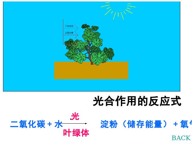 初一上册生物生物光合作用吸收二氧化碳释放氧气教研课第10页