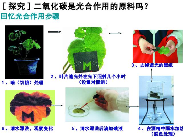 初一上册生物生物光合作用吸收二氧化碳释放氧气教研课第4页