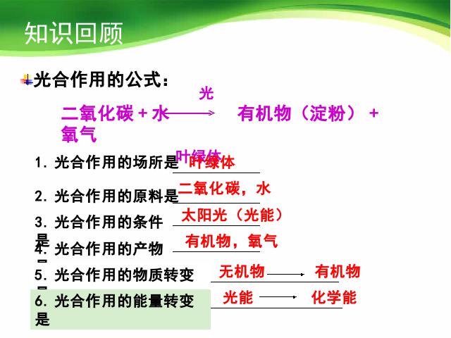 初一上册生物生物3.5.2绿色植物的呼吸作用精品第2页