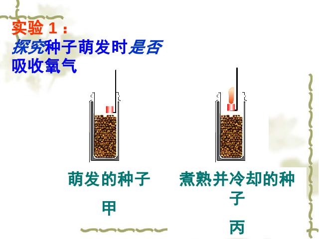 初一上册生物3.5.2绿色植物的呼吸作用生物公开课第4页