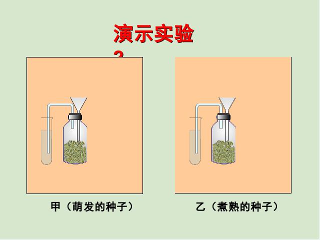 初一上册生物生物3.5.2绿色植物的呼吸作用ppt比赛获奖教学课件第10页