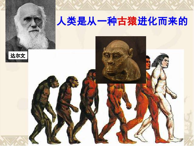 初一上册历史历史《第1课:中国早期人类的代表-北京人》第4页