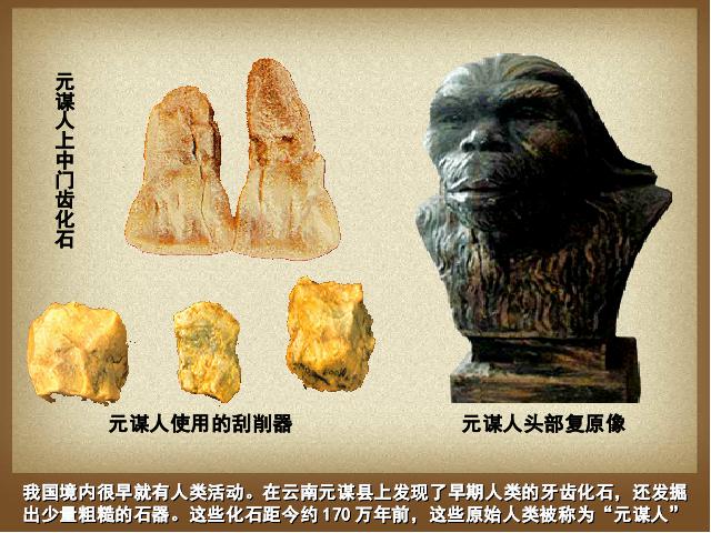 初一上册历史《第1课:中国早期人类的代表-北京人》第7页