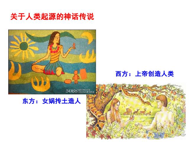 初一上册历史《第1课:中国早期人类的代表-北京人》第2页