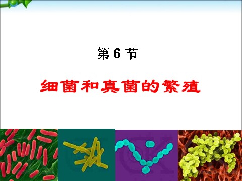 初一下册科学（教科版）新浙教版七年级科学公开课1.6细菌和真菌的繁殖ppt课件第2页