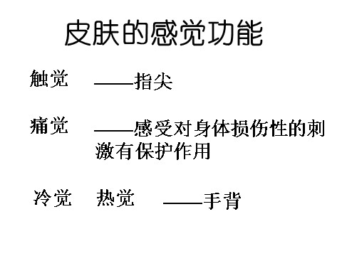 初一下册科学（教科版）新浙教版七年级科学2.1感觉世界ppt课件第6页