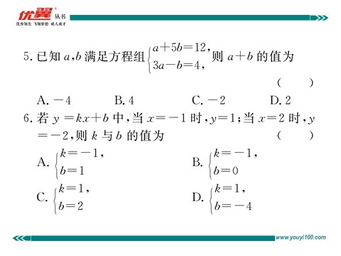 初一下册数学（湘教版）综合滚动练习：二元一次方程(组)的解法及其应用第5页