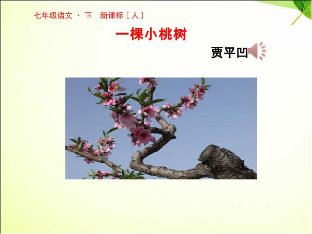 初一下册语文原创《第18课:一棵小桃树》(语文）第1页