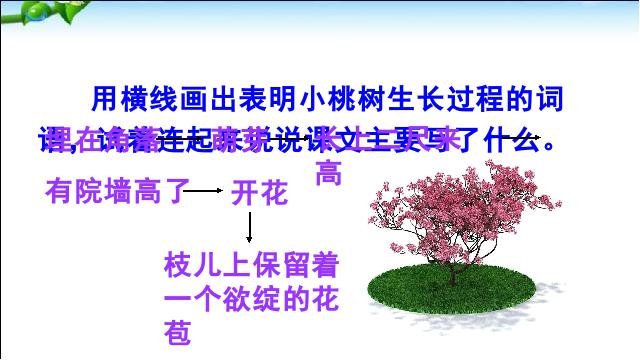 初一下册语文《第18课:一棵小桃树》(语文)第9页