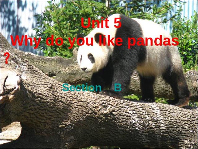 初一下册英语英语《unit5 Why do you like pandas》下第1页