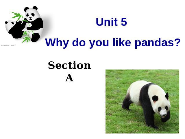 初一下册英语《unit5 Why do you like pandas》第1页