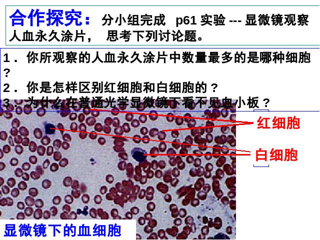 初一下册生物《4.4.1流动的组织-血液》生物第7页