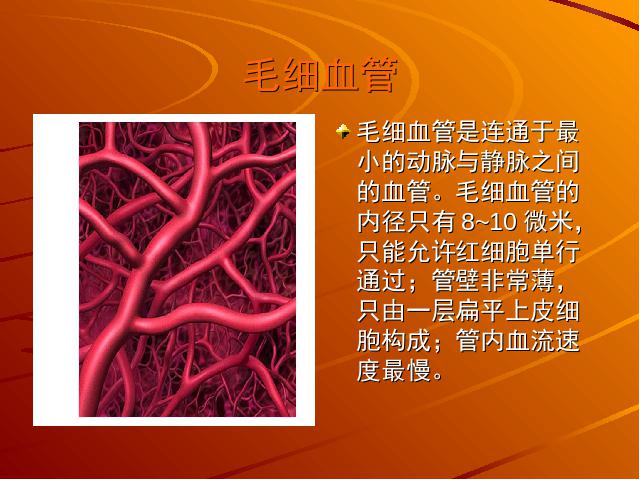 初一下册生物生物《4.4.2血流的管道-血管》下载第9页