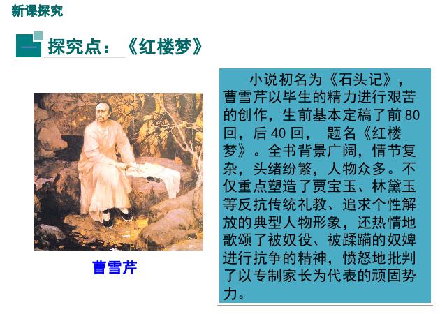 初一下册历史历史《第21课:清朝前期的文学艺术》第4页