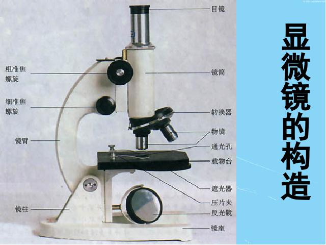初二上册物理物理5.5显微镜和望远镜上课下载第2页