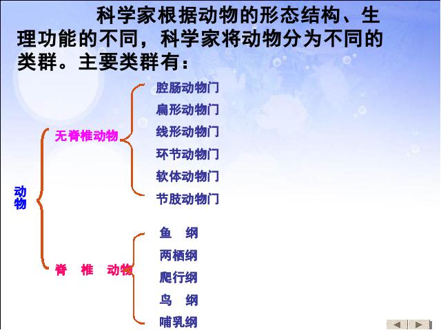 初二上册生物生物5.1.1腔肠动物和扁形动物精品第3页