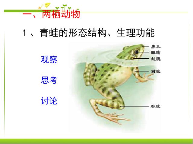 初二上册生物生物5.1.5两栖动物和爬行动物优质课第3页