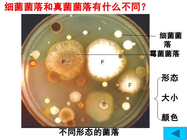 初二上册生物5.4.1细菌和真菌的分布生物公开课第7页