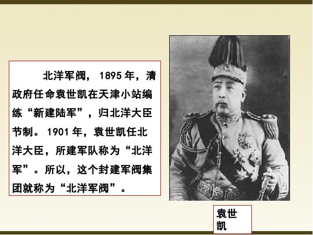 初二上册历史历史优质课《中华民国的创建》第8页