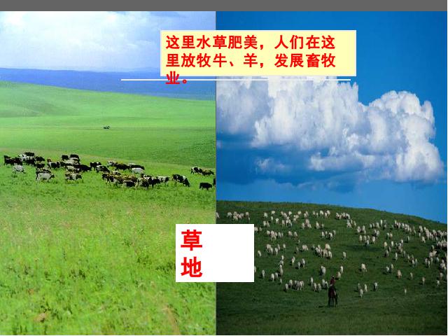 初二上册地理地理中国的自然资源土地资源ppt原创课件（）第5页