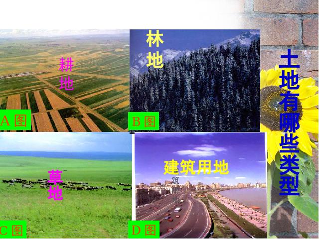 初二上册地理地理中国的自然资源土地资源优秀获奖第4页