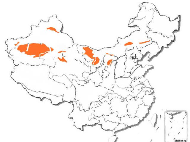 初二上册地理地理中国的自然资源土地资源上课下载第8页