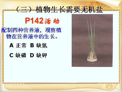 初二下册科学（教科版）新浙教版八下科学4.3植物的根与物质吸收课件ppt第7页
