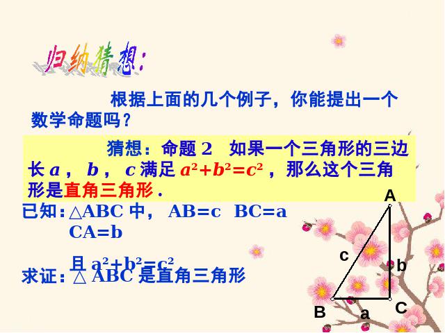 初二下册数学数学《17.2勾股定理的逆定理》第5页