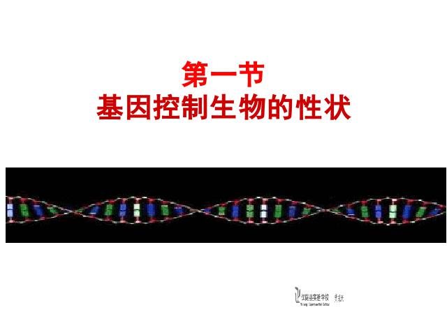 初二下册生物生物《7.2.1基因控制生物的性状》下载第1页